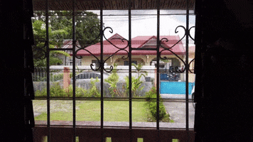 Disinfection GIF