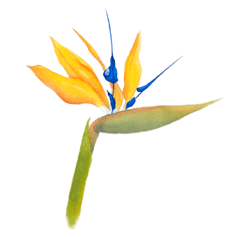 Flower Sticker