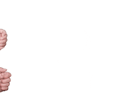 wernerharrer GIF