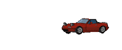 Car Sticker