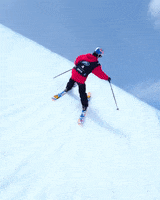 Team Usa Winter GIF by U.S. Ski & Snowboard Team