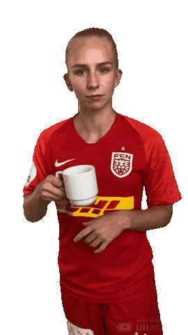 FC Nordsjaelland Sticker