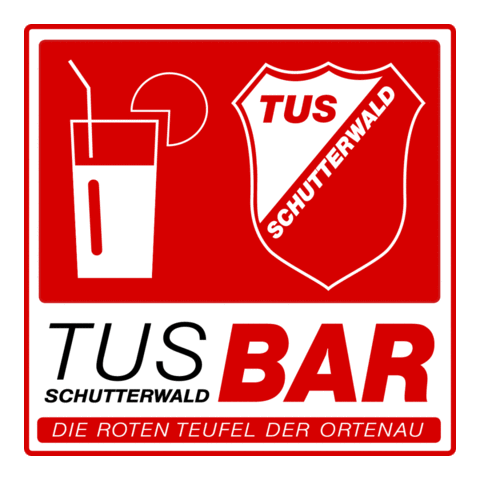 Handball Offenburg GIF by tusschutterwald