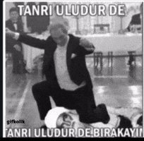 Gifkolik GIF