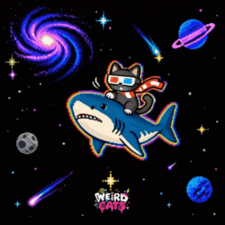 Cat Stay Weird GIF by Weird Cats