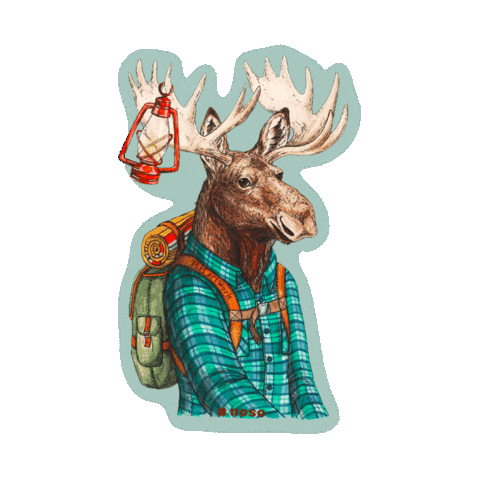 Moose Lantern Sticker by nosopatches