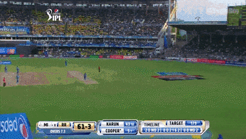 cricket GIF