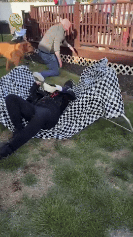 Wwe Wrestling GIF