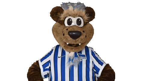 Hertha Berlin Hello Sticker By Hertha Bsc For Ios Android Giphy
