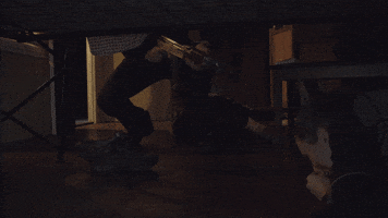 ellismonk5  GIF