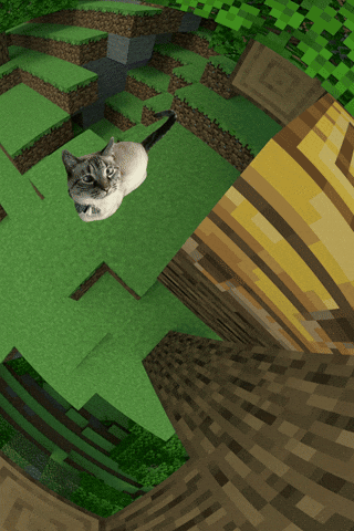 Minecraft Cat GIF