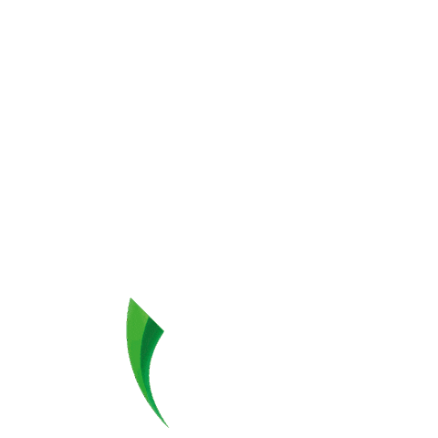 Input Tecnologia Sticker