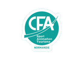 CFA SAT NORMANDIE Sticker