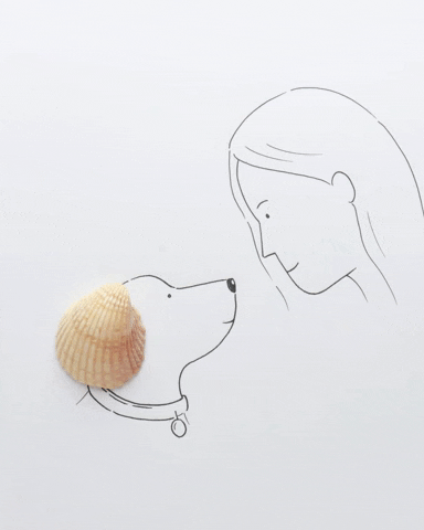 Stop Motion Love GIF by cintascotch