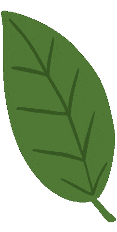 Spring Leaf Sticker