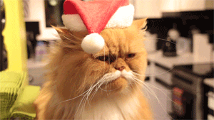 Video gif. Orange cat with a patch of white over his mouth that looks like a mustache has a grumpy look on his face. He wears a red Santa hat on his head and smacks his lips as he looks away.