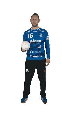 TV Großwallstadt Sticker