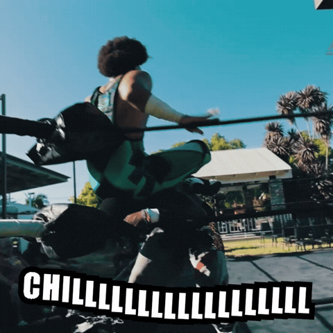 Vibes Wrestling GIF