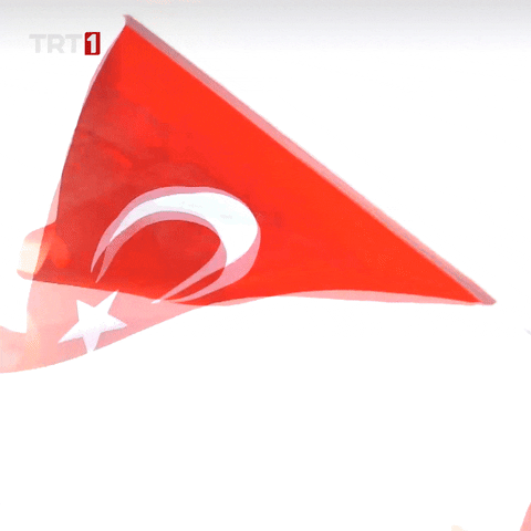 Ay Yildiz Flag GIF by TRT