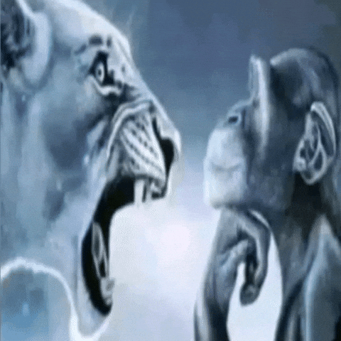 Angry Chill GIF