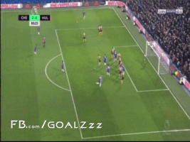 naderibrahim  GIF
