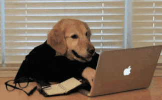 dog people GIF