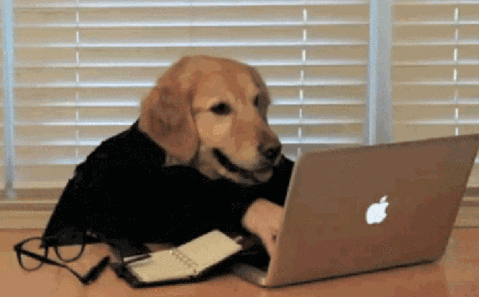 Dog People GIF
