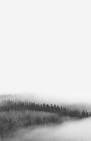 black and white mist GIF