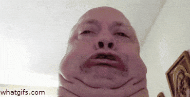 200.gif?cid=fc005b08969a22d68a9098f1640f6a3fab99d3266a010712&rid=200.gif&ct=g