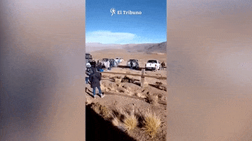 El Tribuno GIF