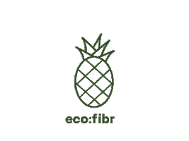 Pineapple Sticker by eco:fibr