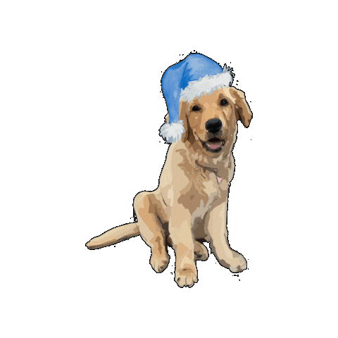 Golden Retriever Christmas Sticker by ShortStreetStore