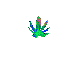 Animated Sticker