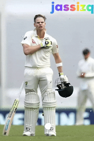 Steve Smith GIF