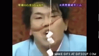 game show gifs