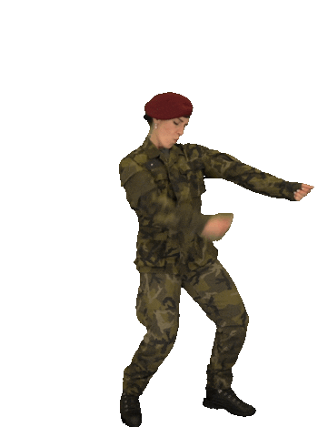 Armáda České republiky Sticker