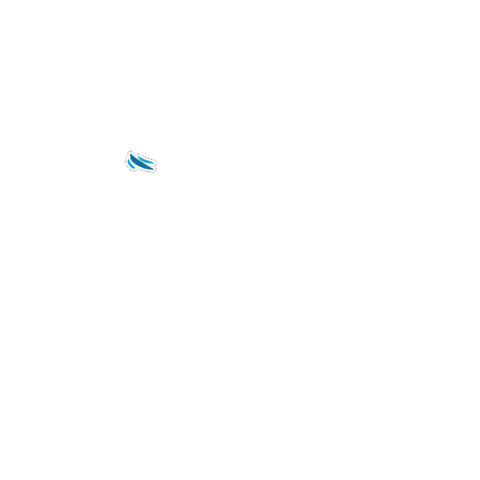 Cronulla Sea-Doo Sticker