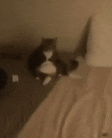 Tired Worn Out GIF