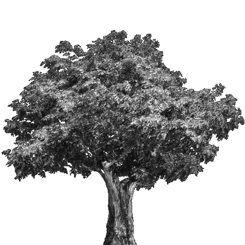 Work Tree Sticker by STRABAG