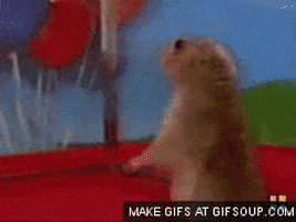 Gopher GIFs - Get the best GIF on GIPHY
