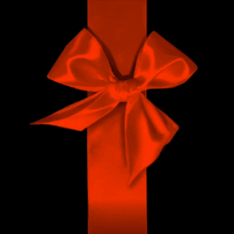 Cat Christmas GIF by sillynub