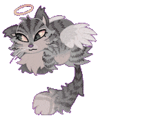 Long Hair Cat Sticker