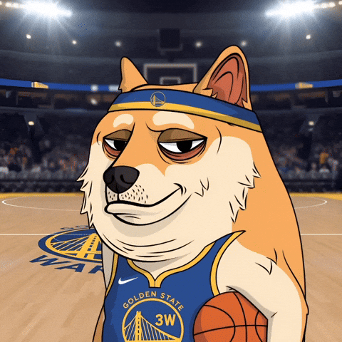 Digital Art Basketball GIF by Doge Pound