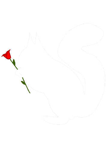 Squirrel Sorority Sticker