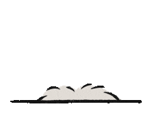 Hedgehog Caveroom Sticker