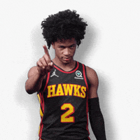 No Thank You Sport GIF by Atlanta Hawks