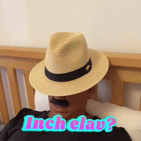 Comedy Armenian GIF by Gibo Hopar