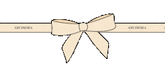 Arcinora Sticker