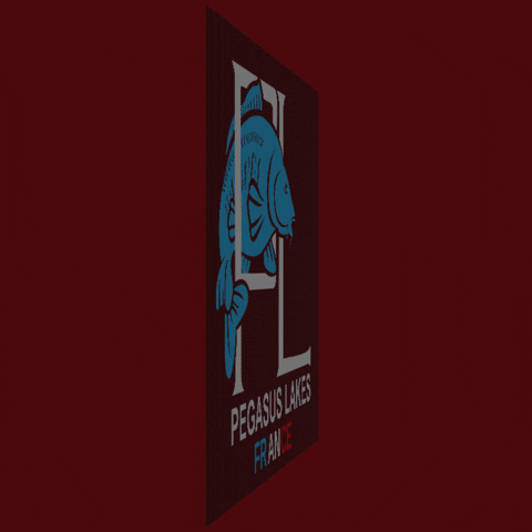 BigFishOn GIF