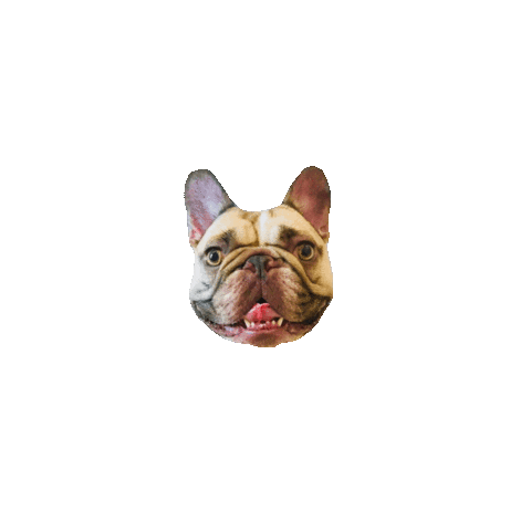 Pardonmy2Frenchies Sticker
